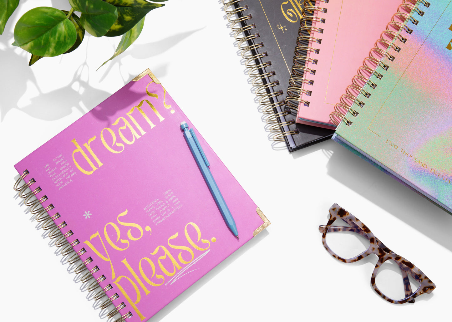 A pink planner with 'dreams? yes please' text on the cover, accompanied by a blue pen and glasses, on a white surface with a plant in the background.