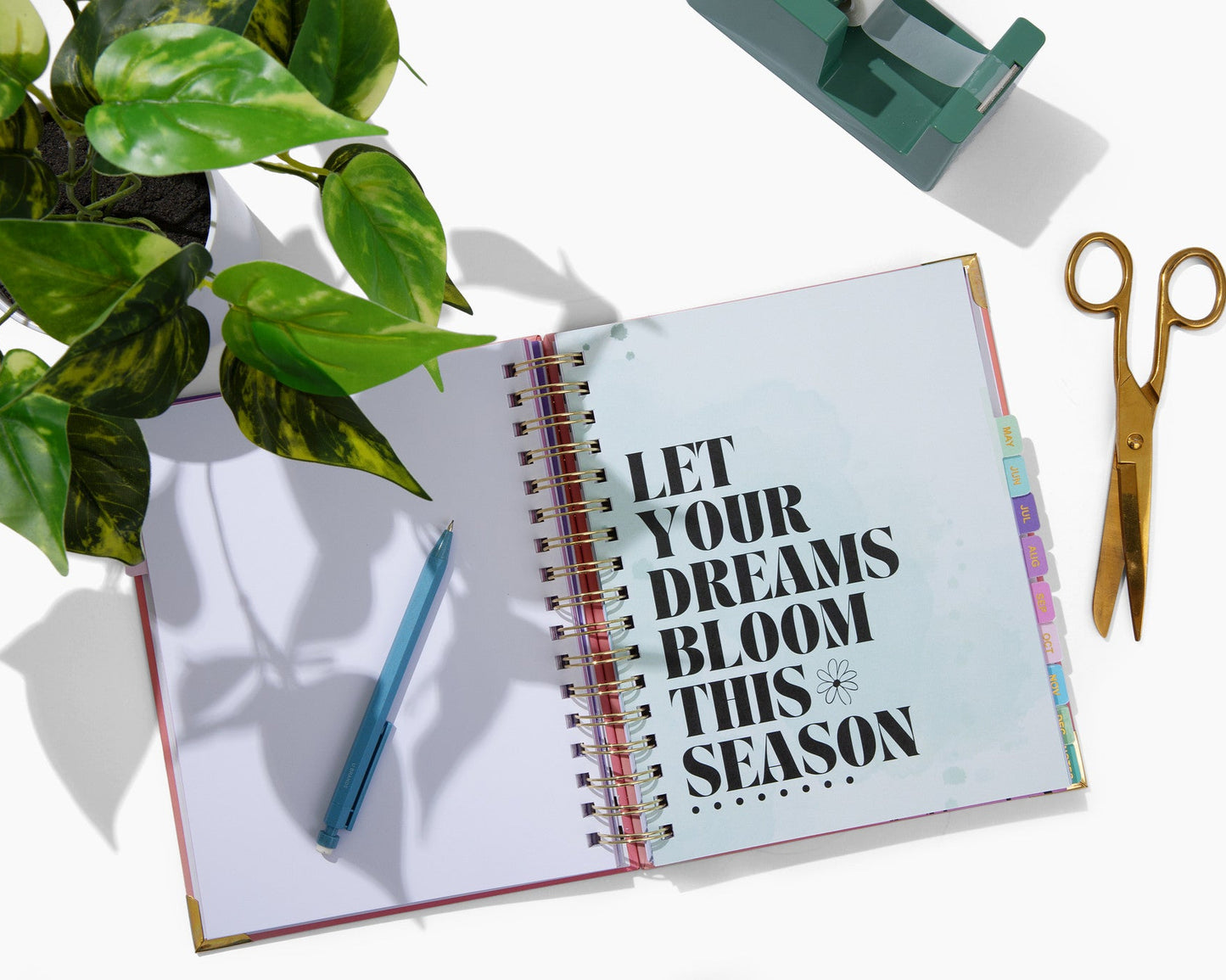 Open notebook with motivational quote on a white surface with a plant and pen.